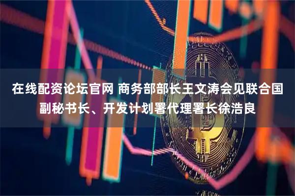 在线配资论坛官网 商务部部长王文涛会见联合国副秘书长、开发计划署代理署长徐浩良